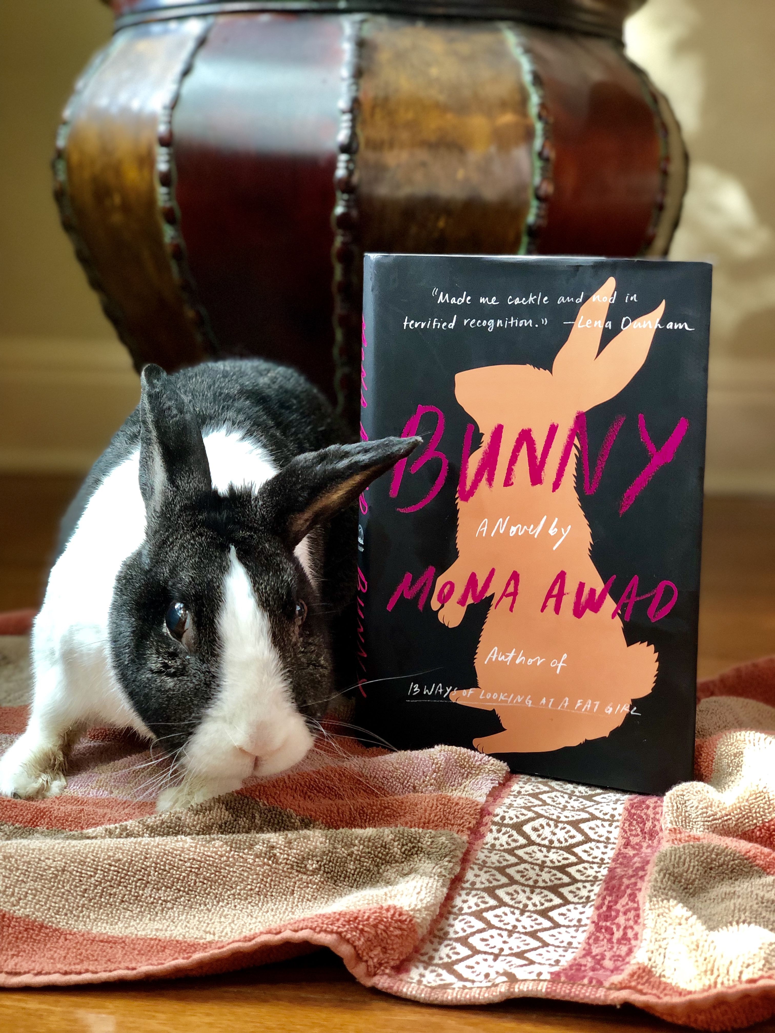 Bunny | Review