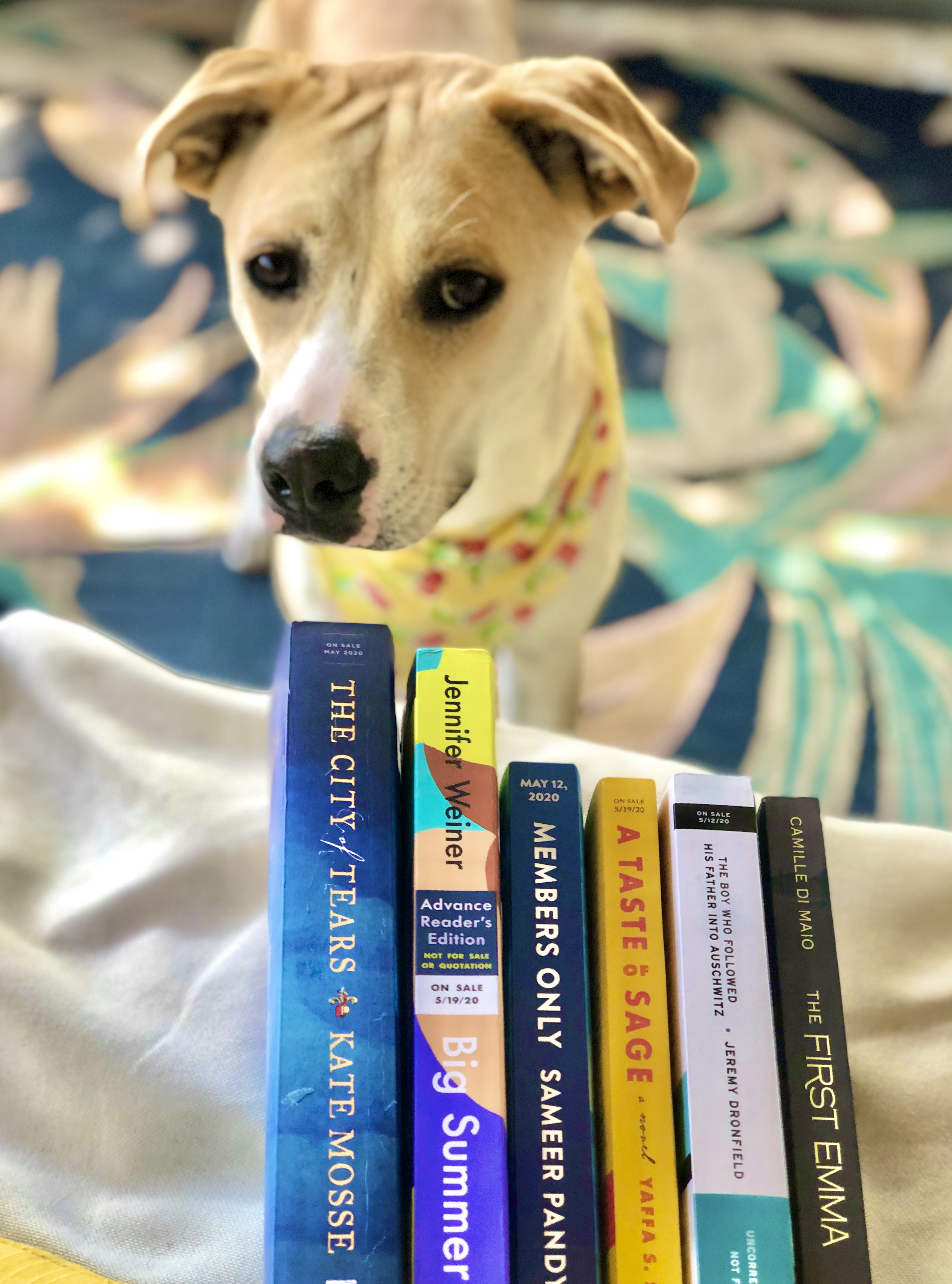 May Most Anticipated