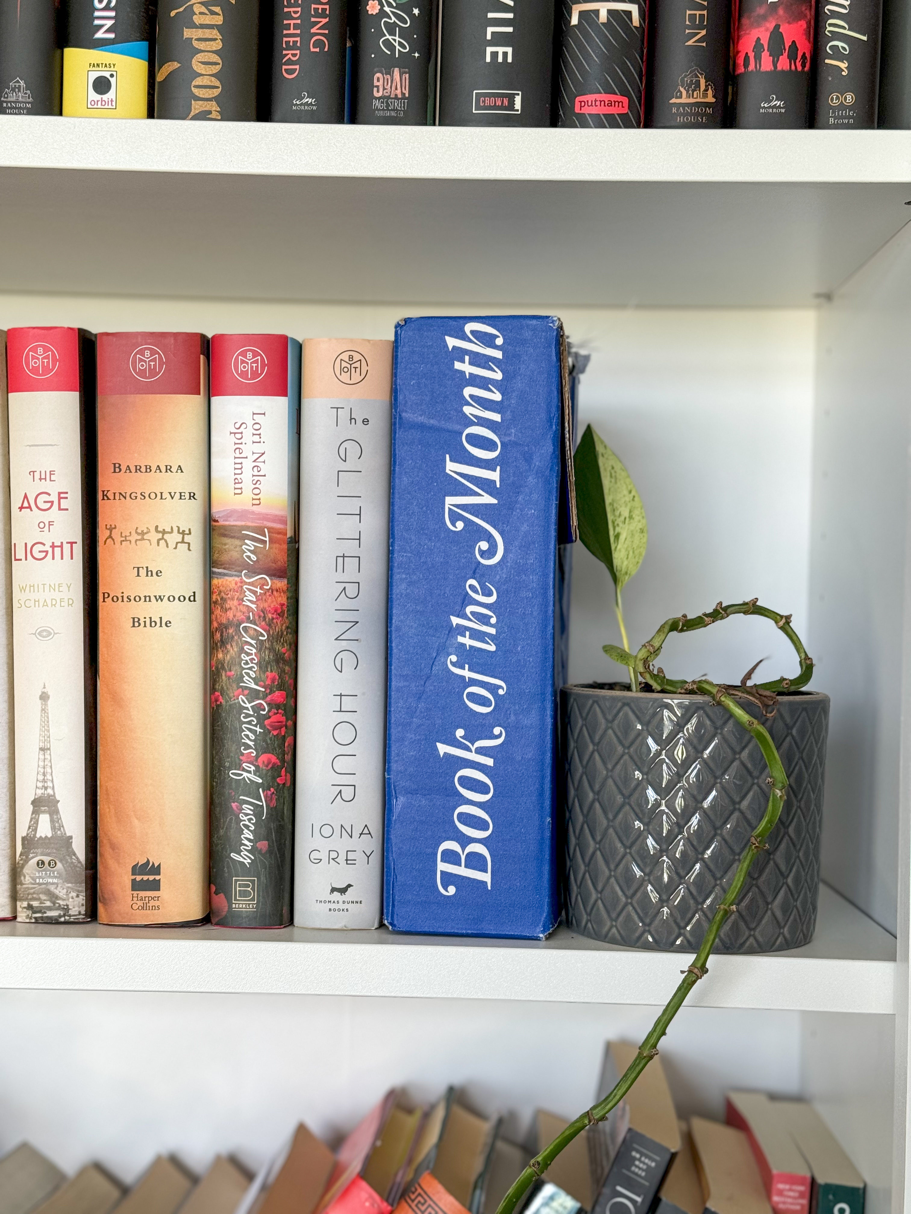 May 2026 | BOTM Predictions