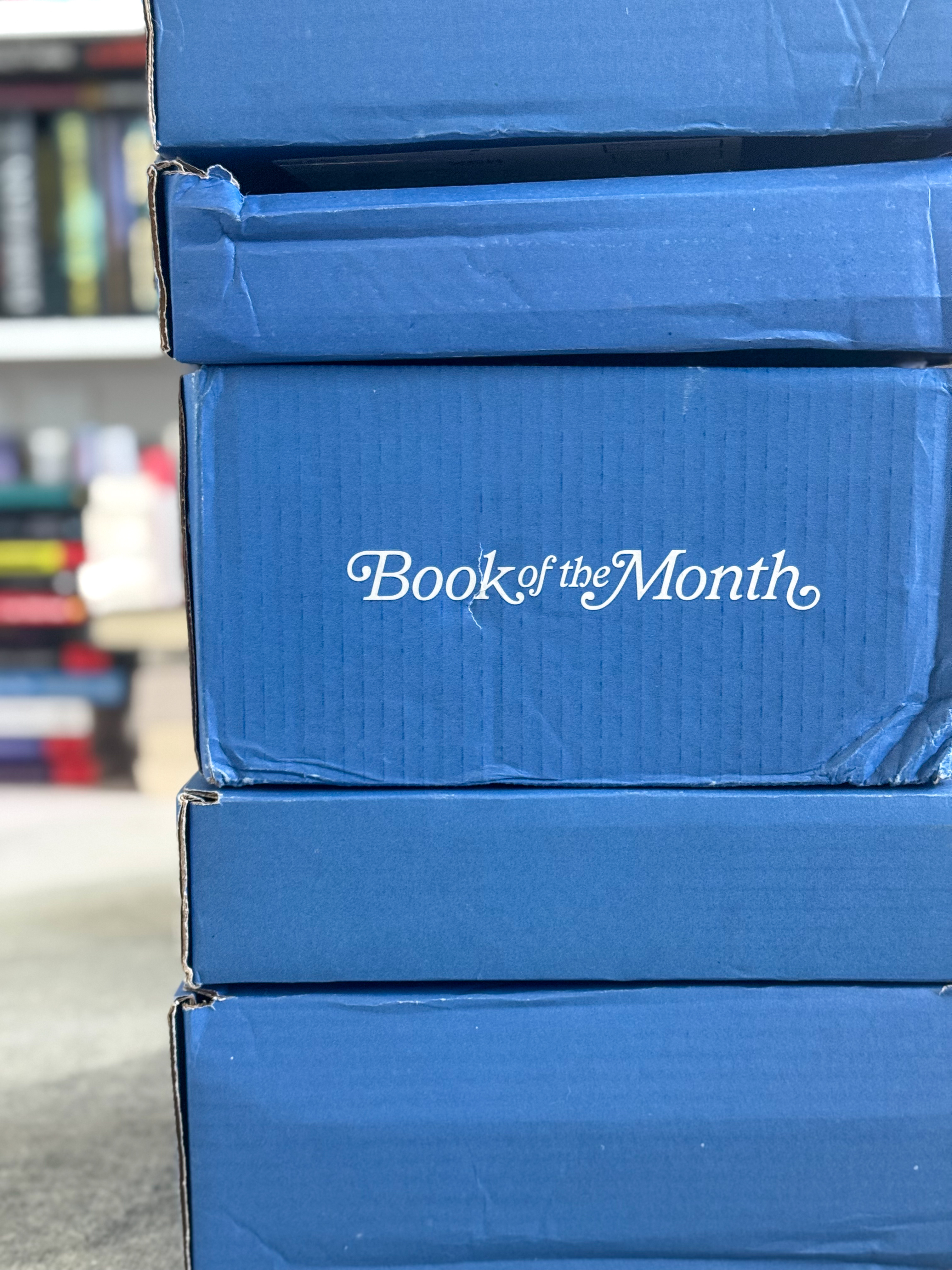 November 2025 Book of the Month