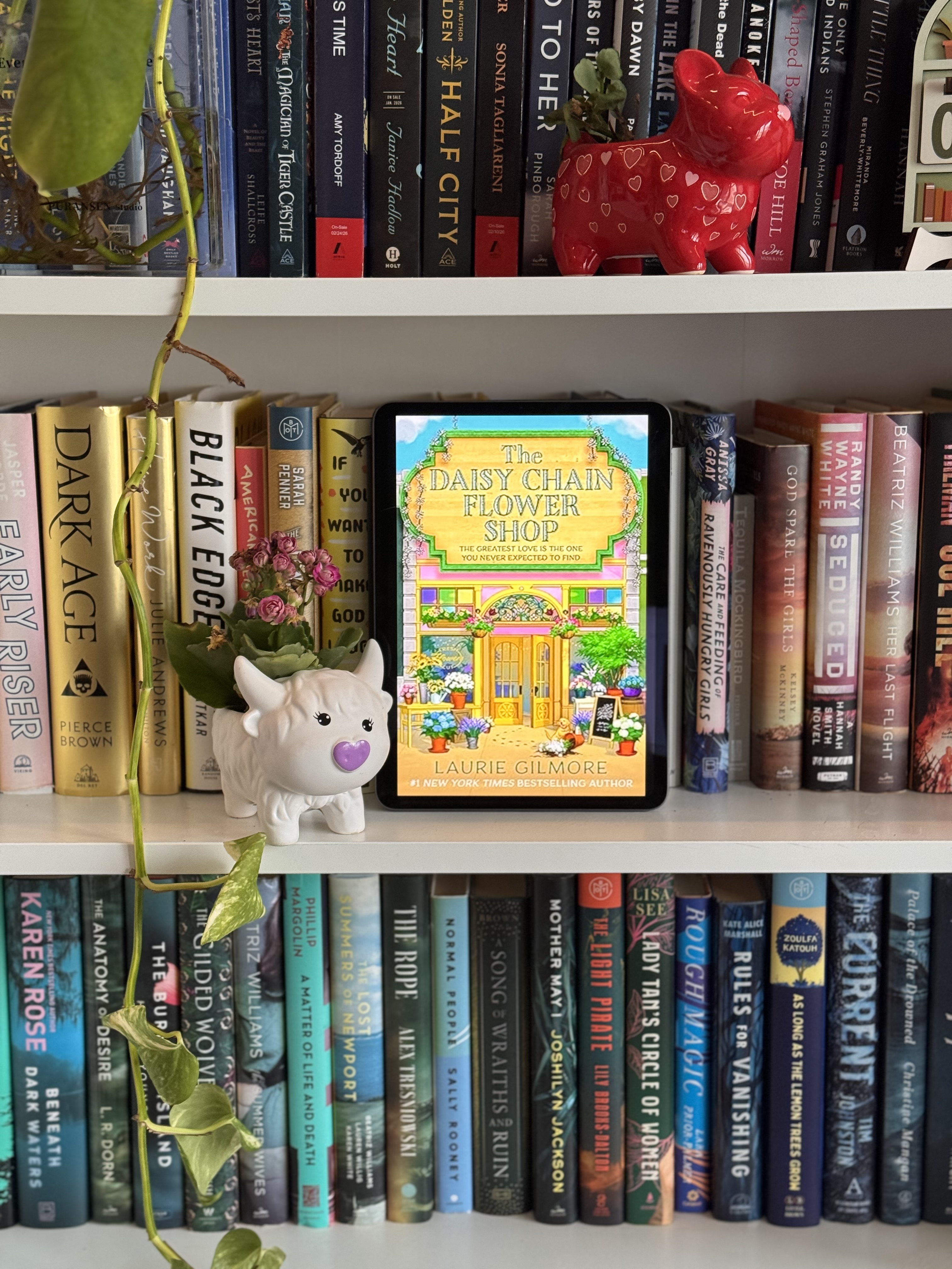 The Daisy Chain Flower Shop